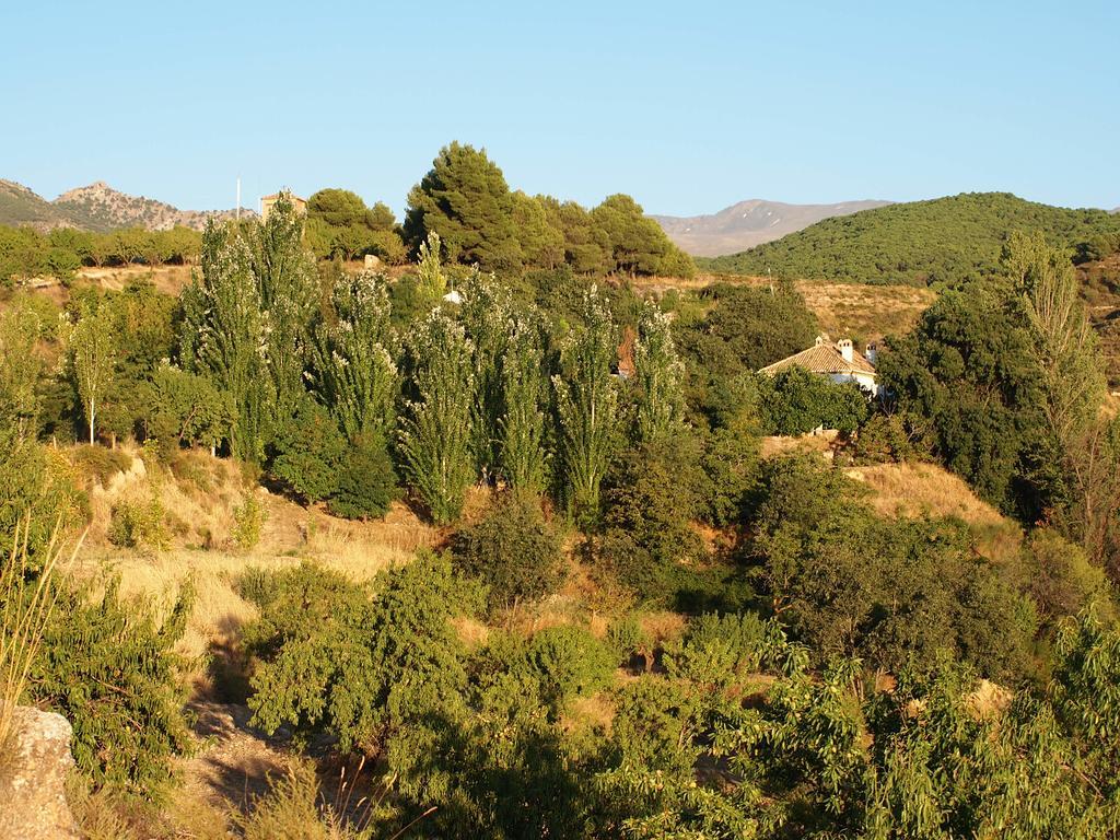 Ferienwohnung Cortijo Balzain La Zubia  Exterior foto